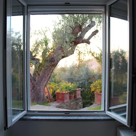 Serrone Aparthotel Santa Maria di Castellabate