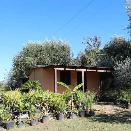 Serrone Santa Maria di Castellabate